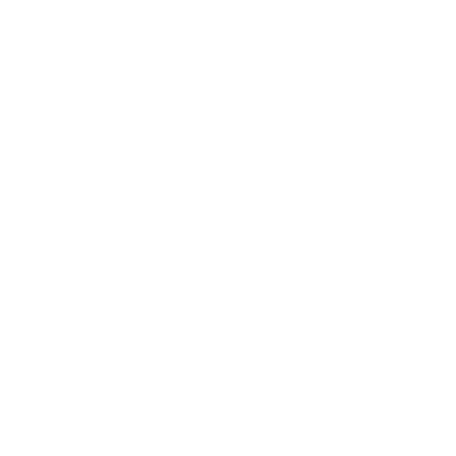 Home 17 private trip