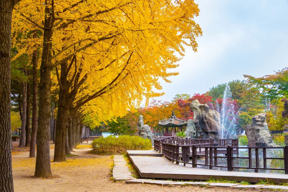 Seoul + Nami (Private Tour) 5 Nami Island Private Tour