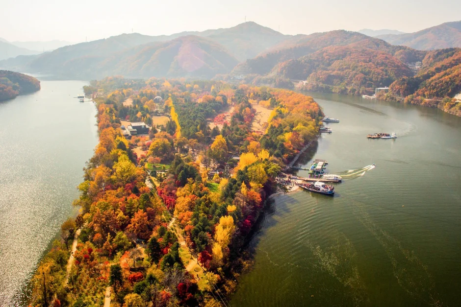 Seoul + Nami (Private Tour) 6 Nami Island Private Tour