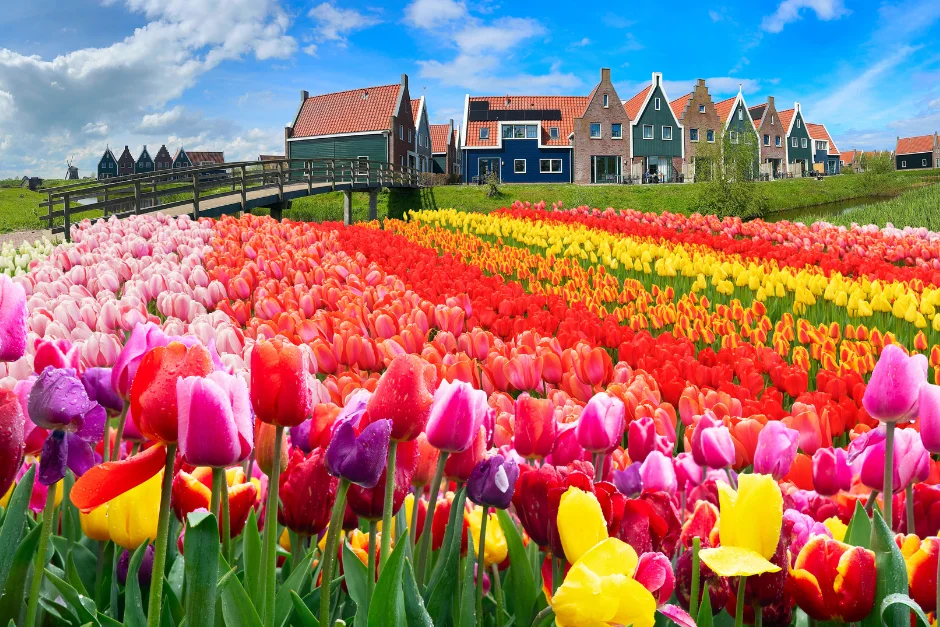 Netherlands + Belgium + Paris (Private Tour) 3 Private Tour Netherlands