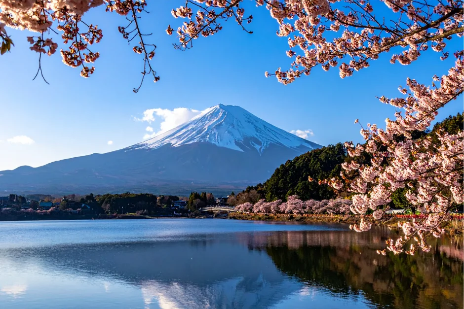 New Zealand South (Private Tour) 2 Private Tour Queenstown