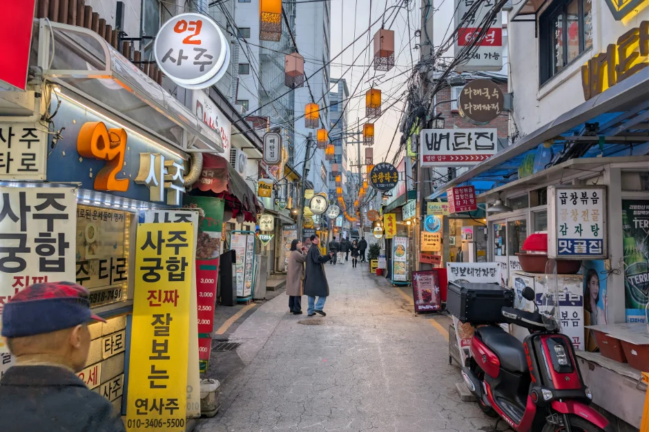 Seoul + Nami (Private Tour) 4 Seoul Private Tour