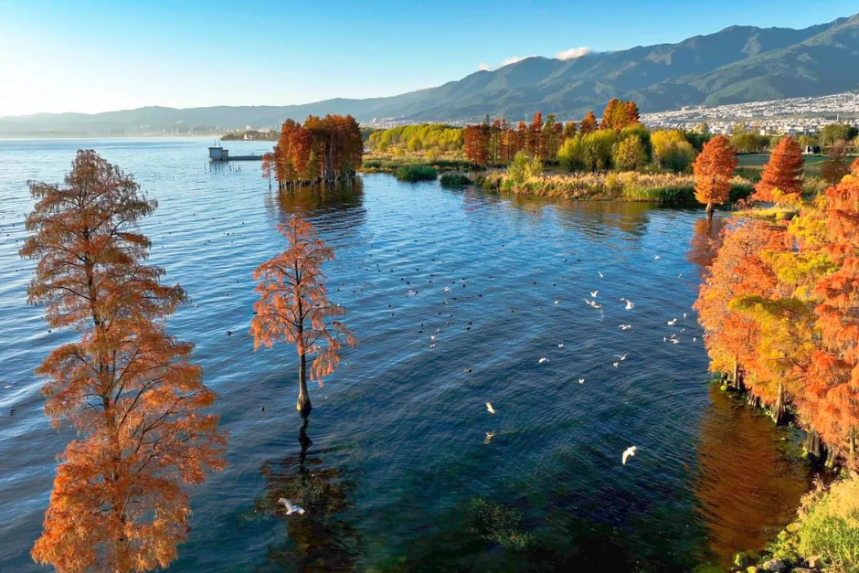 Yunnan (Private Tour) 6 Yunnan Private Tour